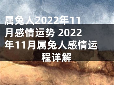 属兔人2022年11月感情运势 2022年11月属兔人感情运程详解