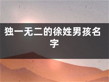 独一无二的徐姓男孩名字