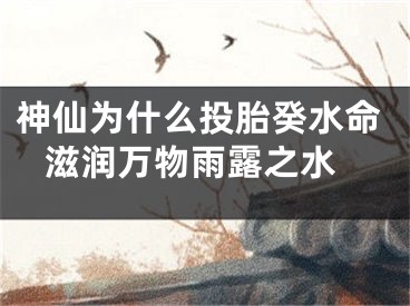 神仙为什么投胎癸水命 滋润万物雨露之水