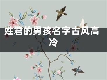 姓君的男孩名字古风高冷