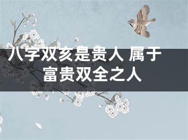 八字双亥是贵人 属于富贵双全之人