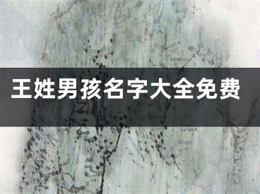 王姓男孩名字大全免费