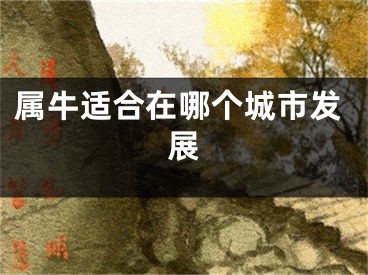 属牛适合在哪个城市发展