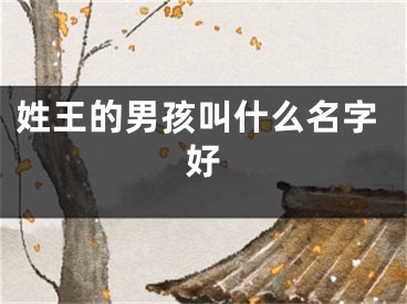 姓王的男孩叫什么名字好