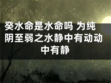 癸水命是水命吗 为纯阴至弱之水静中有动动中有静