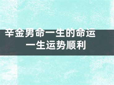 辛金男命一生的命运 一生运势顺利