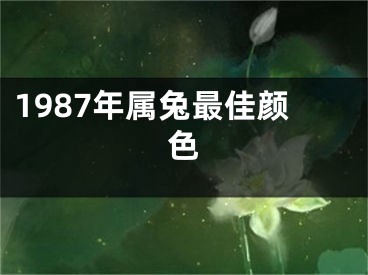 1987年属兔最佳颜色