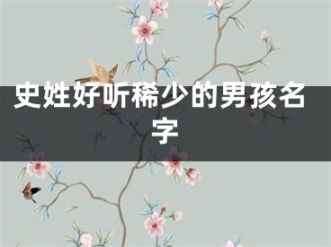 史姓好听稀少的男孩名字