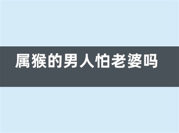 属猴的男人怕老婆吗