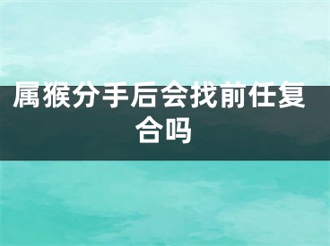 属猴分手后会找前任复合吗