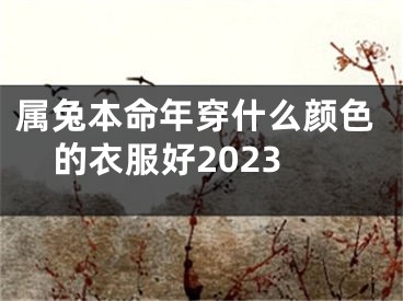 属兔本命年穿什么颜色的衣服好2023