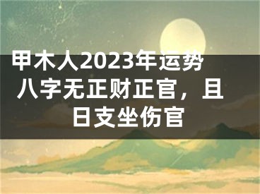 甲木人2023年运势 八字无正财正官，且日支坐伤官