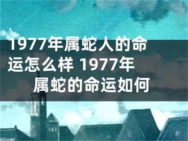 1977年属蛇人的命运怎么样 1977年属蛇的命运如何