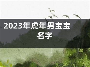 2023年虎年男宝宝名字