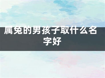 属兔的男孩子取什么名字好