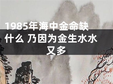 1985年海中金命缺什么 乃因为金生水水又多