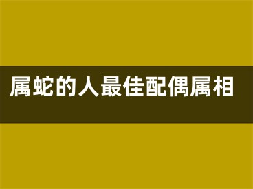 属蛇的人最佳配偶属相