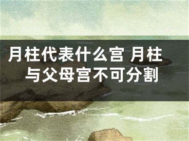 月柱代表什么宫 月柱与父母宫不可分割