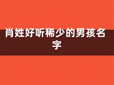 肖姓好听稀少的男孩名字