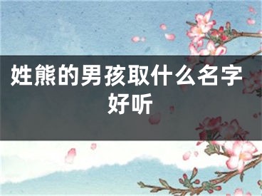 姓熊的男孩取什么名字好听