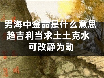 男海中金命是什么意思 趋吉利当求土土克水可改静为动