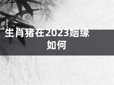 生肖猪在2023姻缘如何