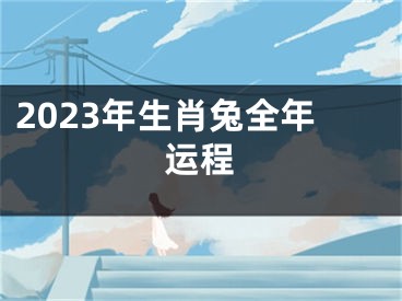 2023年生肖兔全年运程