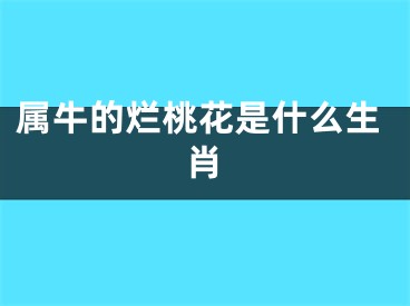 属牛的烂桃花是什么生肖